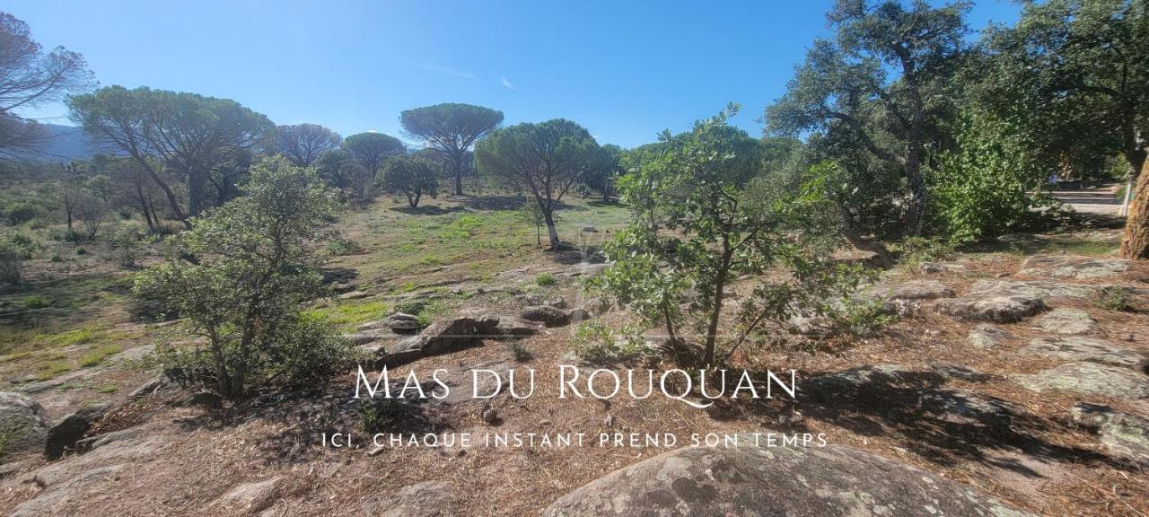 Le Mas Du Rouquan Vidauban Exterior photo
